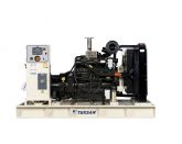 Дизельный генератор TJ220DW5C с АВР
